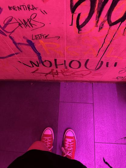 Vista superior de unas converse rojas en un baño rosa lleno de grafitis 