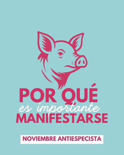 Fondo azul clarito. Dibujado en magenta aparece el rostro de un cerdo. Pone: Por qué es importante manifestarse. Y debajo: Noviembre Antiespecista
