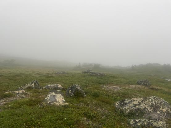 Picture of a green and rocky landscape engulfed by thick fog. 