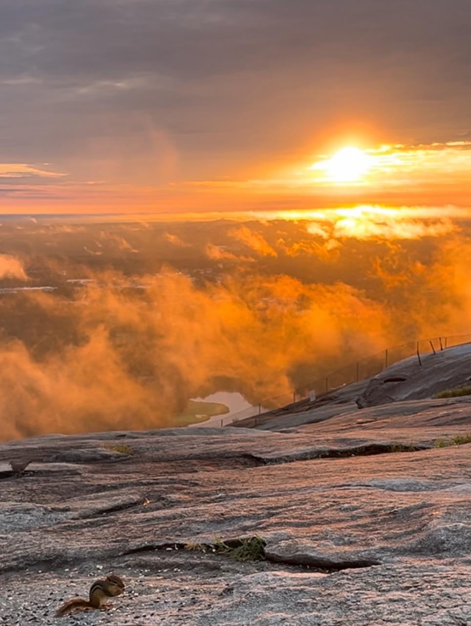 Top of the mountain at sunrise pic of a lone chipmunk eating peanuts and the beautiful yellow sun illuminating the fog to an orange glow hovering over the mountain top