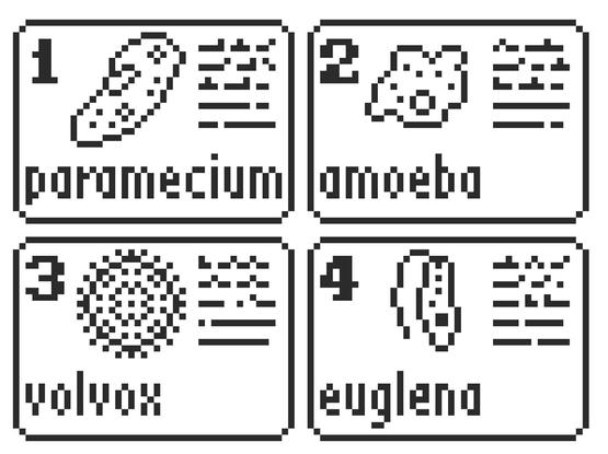 tiny black and white pixel drawings laid out like trading cards. 4 protozoans are depicted: paramecium, amoeba, euglena, and volvox
