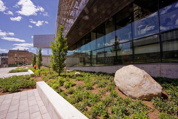 In the center a freshly planted planter with what look like small bushes and a boulder set among them as well as some columnar small trees;  to the left a plaza with a block floor and a few planted sections cut-out,  to the right a glass windowed wall and if you look out you see an overhanging structure with a bunch of metal panels.