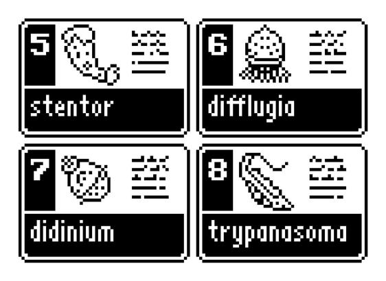 tiny black and white pixel drawings laid out like trading cards. 4 protozoans are depicted: stentor, difflugia, didinium, and trypanasoma.

