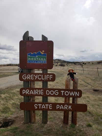 Ranger Sarah has arrived at Montana's Greycliff Prairie Dog Town State Park. The park is protected and preserved through the efforts of Montana State Parks, the Nature Conservancy, and the Montana Department of Transportation.
— at Greycliff Prairie Dog Town State Park.
