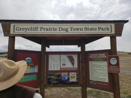 Ranger Sarah reads the park map and information board before exploring the park and searching for Prairie Dogs.
— at Greycliff Prairie Dog Town State Park.