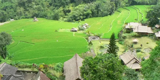 🌴🌺 TOP 10 Bali Sehenswürdigkeiten & Geheimtipps für deine Reise!