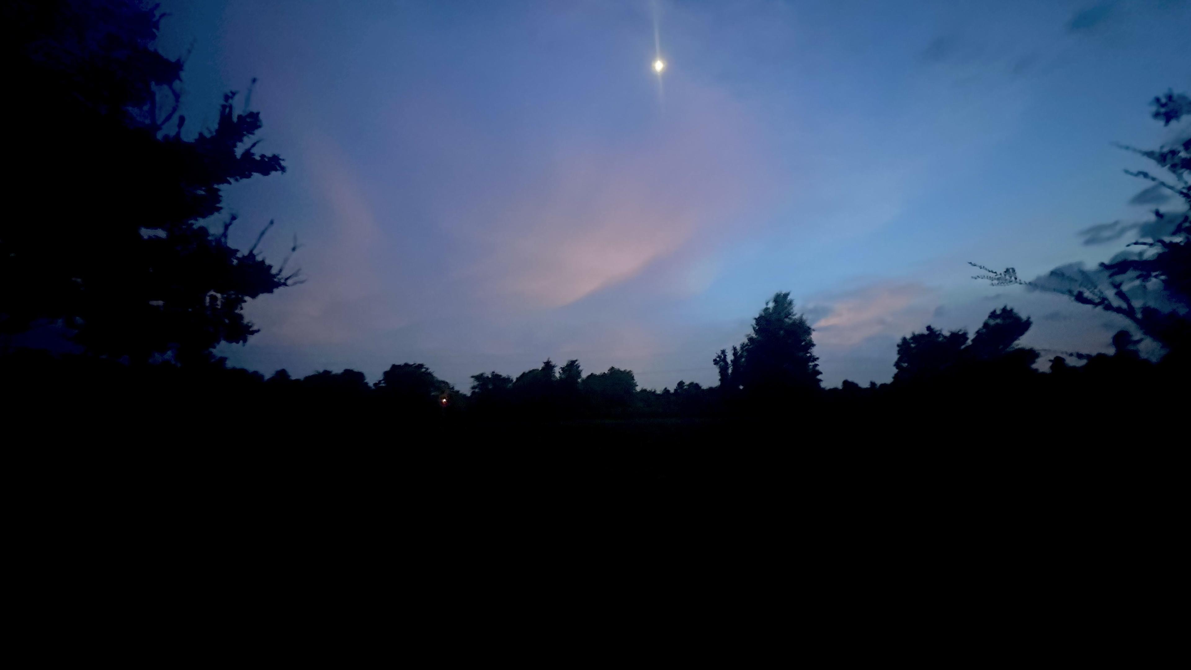 A twilight sky with soft pink and blue hues, featuring a bright moon. Silhouetted trees line the bottom of the image, creating a serene nighttime atmosphere.