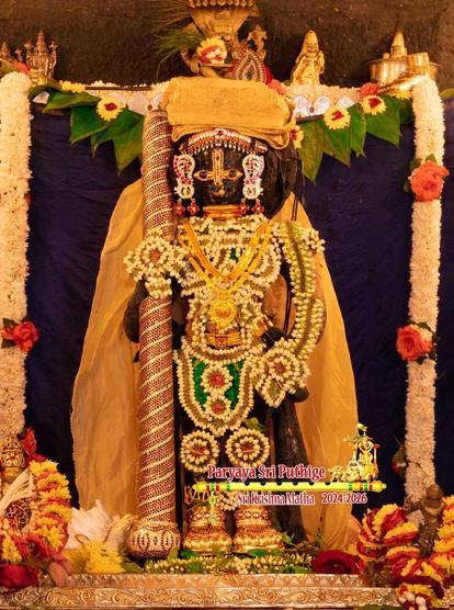 Idol of Hindu deity Krishna in yellow cape and turban standing on a gold-clad platform with a gilded (with orange striations) staff in right hand and left hand on front left waist. He wears gold shoes and lots of gold ornaments. His waist and front down to knees as well as the entire length of the left arm, hand, and palm are lined with a long string of white jasmine buds. His upper body is also covered by a contouring string of jasmine flowers, placed to take the outline of a vest. Blue cloth background. Thick strings of white flowers hang down from both ends of the background. A string of green beetle leaves hangs along the length of the background.