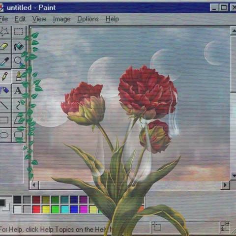 ilustracja - kwiaty na tle ramki z Painta