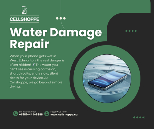water damage repair near edmonton