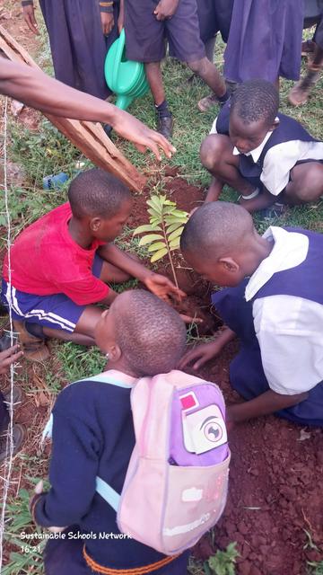 School kids planting a Kiteferi tree