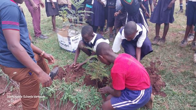School Kids planting a tree

