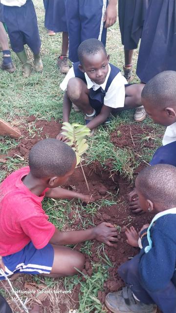 School kids planting a tree