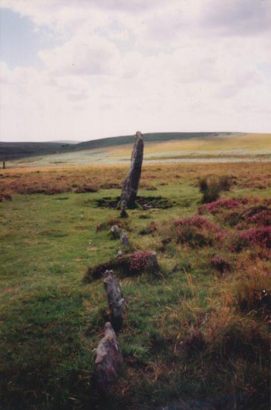 Colour photograph of the 2.3m tall menhir, at a slight lean, at the end of a prehistoric stone row at Drizzlecombe on Dartmoor. It was a very sunny day with a beautiful blue sky, though the photo shows much cloud to the north-east. The moors are a beautiful patchwork of grass and other short plants in hues of yellow, mustard and various greens, and with clumps of pinky-purple plants to the lower right. The moors in the distance are darker, gently curved and torless. It looks as though there is another menhir in the distance on the left.