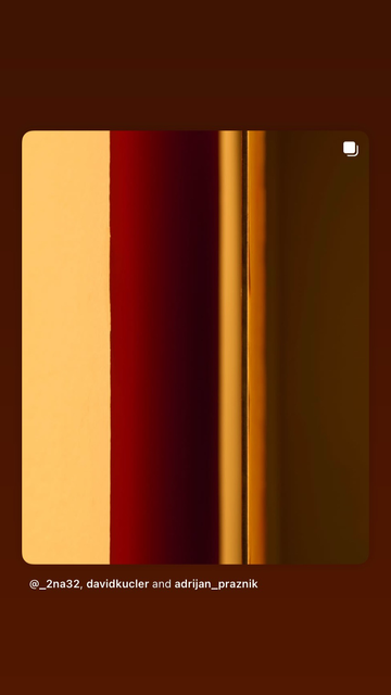 [SLO] Fotografija postavitve razstave »2^0 delo: David Kucler« v Prostoru 2^32, prikaz reproduciranega dela bodeče neže v prostoru z rumenkasto ambientalno svetlobo in rdečkasto žarečimi sencami. [ENG] Photo of the installation of the exhibition “2^0 work: David Kucler” at 2^32 Space, showing the reproduced work of carline thistle in a space with yellowish ambient light and reddish glowing shadows.