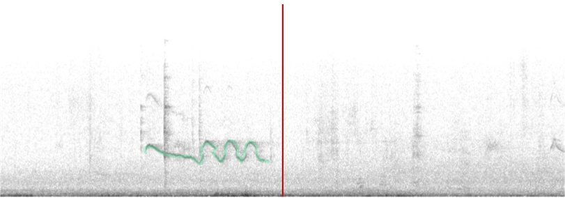 A long falling note blends into three sharp cries, represented by a line moving diagonally down then forming three n-shaped peaks.