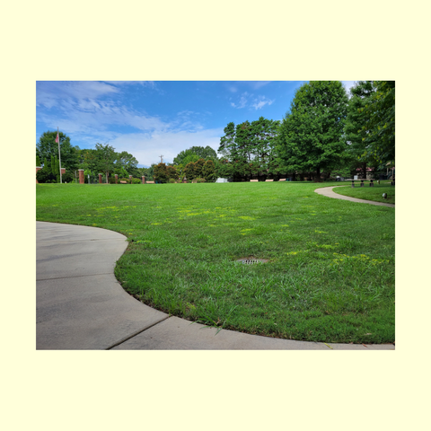 A park with a walking path, along with a blue sky and green grass and trees, are pictured. 