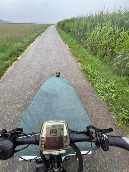 Foto während der Fahrt von einem Lastenrad aufgenommen. Im Vordergrund das E-Bike Display und der von einer Grünen Plane abgedeckte Lastenkorb. Von der Plane perlt Regen ab. 

Das Rad fährt im Regen unter trübem Himmel einen Wirtschaftsweg entlang eines Maisfeldes