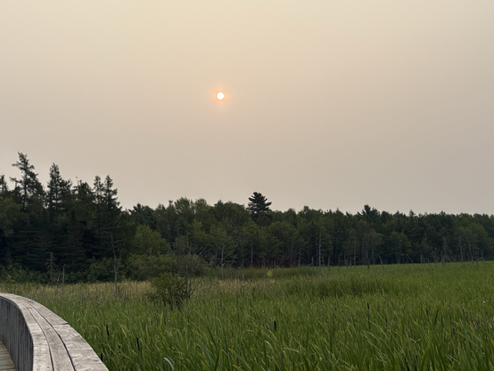 Picture of a hazy smoky sky over a green forested area. 