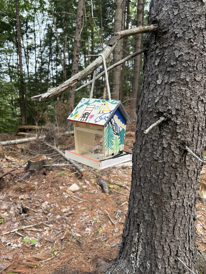 A colourful bird feeder hanging on a tree branch. 