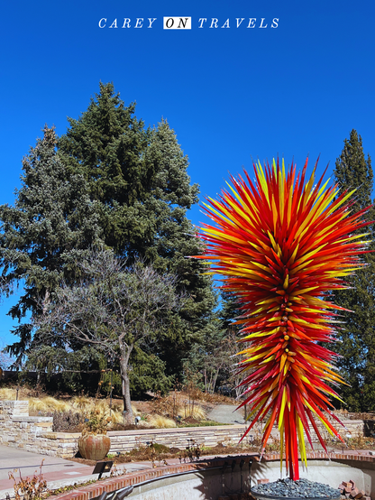 Red and Yellow Chihuly sculpture at the Denver Botanic Gardens