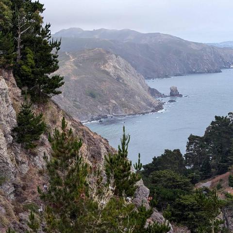 A scenic view from Muir Beach Overlook in California, showcasing dramatic coastal cliffs descending into the Pacific Ocean. Layers of rugged, rocky headlands stretch into the distance under a misty sky, while dark green pine trees frame the foreground. A distinctive sea stack juts out of the water near the shoreline. The atmosphere is serene and overcast, typical of the Northern California coast.