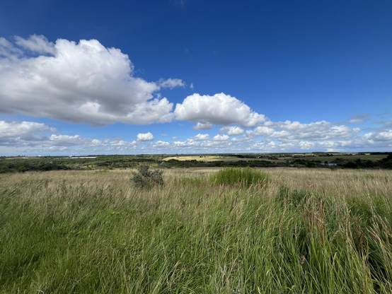 Top of the highest hill