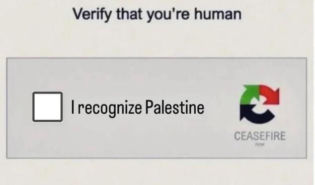 A captcha reading:

"Verify that you're human

[square] I recognize Palistine"
