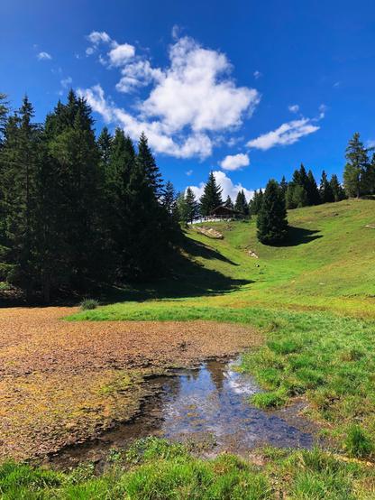 The water of a tiny mountain lake near a meadow and a small mountain hut