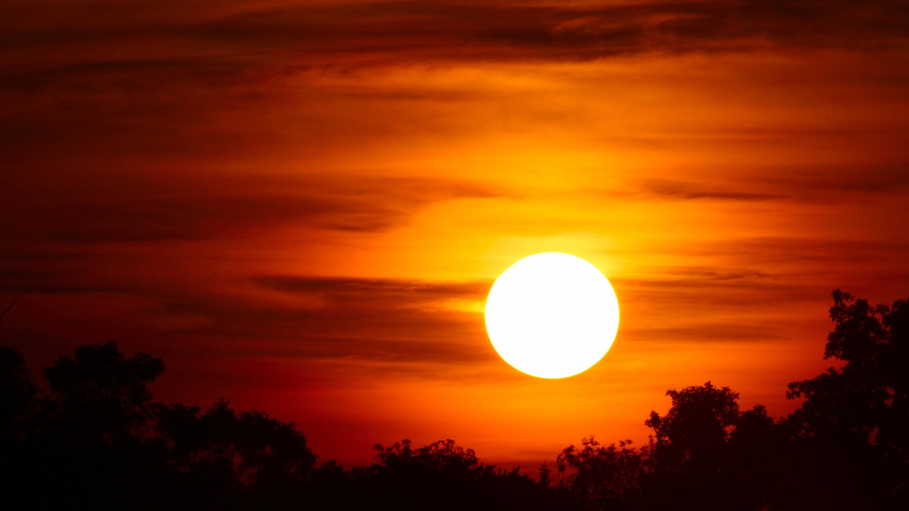 Sunset photo of a bright white sun above a treeline in silhouette with yellow and orange clouds behind. Sunset photo of a bright white sun above a treeline in silhouette with yellow and orange clouds behind.