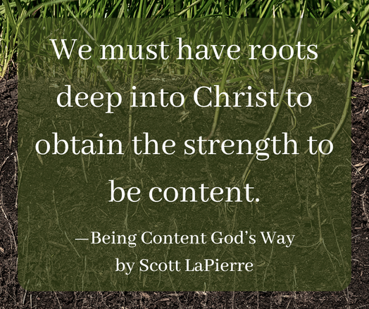 We must have roots deep into Christ to obtain the strength to be content.

#BeingContentGodsWay 

https://amzn.to/4frA2kv
