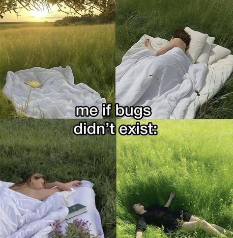 A four-panel meme with text in the center that reads, "me if bugs didn't exist:".

Each of the four panels depicts a scene of someone relaxing or sleeping outdoors in a grassy field:

Top left: A fluffy white duvet is spread like a bed in a sunlit grassy field with a yellow book resting on top.

Top right: A person lies face down under a white comforter on a makeshift bed of pillows in a lush green field.

Bottom left: A person rests on their stomach on a white blanket in a field of grass and wildflowers, with a book beside them.

Bottom right: A person lies on their back with arms outstretched, relaxing in a field of tall, vibrant green grass.
