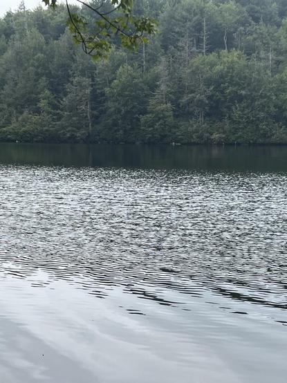 Lake Minnewaska in NY state. it’s known as a ‘sky lake’ as there is no stream that runs in or out of the lake, it’s fed by rainwater. 
this part of the lake is for open water swimmers only, you become eligible after passing a swim test. 
superb water, gorgeous setting 