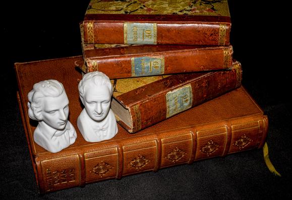 Vier antiquarische Bücher mit Ledereinband, von denen drei den Namen "Goethe" und ein grösseres "Schiller Don Carlos" auf dem Rücken tragen. Davor stehen zwei kleine weiße Büsten als Salz- und Pfefferstreuer. Sie stellen die deutschen Dichter Johann Wolfgang von Goethe und Friedrich Schiller dar und verleihen der Szene eine augenzwinkernde Note zwischen kulturellem Ernst und alltagsnaher Ironie.