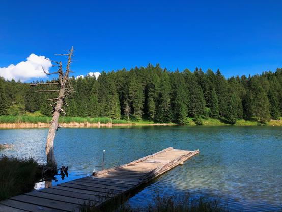 A long wooden platform above the water of a mountain lake with a dad tree