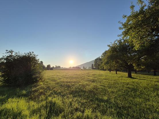The image depicts a serene landscape featuring a vast field of lush green grass, dotted with majestic trees under a clear blue sky. The scene exudes a sense of tranquility and natural beauty, with the sunlight gently illuminating the surroundings. The composition includes two distinct groupings of trees, one in the foreground on the left side of the image and another in the background on the right. The image captures the essence of a peaceful countryside setting, offering a picturesque view of …