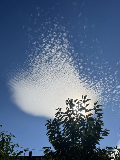 Sehr seltsame Wolke verdeckt die Sonne, ansonsten blauer Hintergrund. Im Vordergrund die Silhouette eines Baumes.