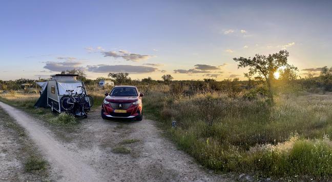 A small trailer with two bicycles mounted on the back camping at Bubulcus & Bolotas in late Spring. The sky glows warmly with the setting sun peeking through a tree on the right. Wild grasses and scattered trees stretch across the landscape, adding a serene and natural atmosphere. Photo taken by Hans Kerchman at Bubulcus & Bolotas.