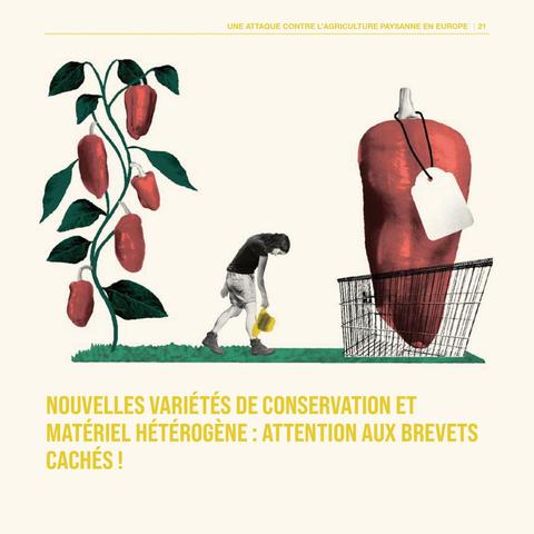 Variétés commerciales