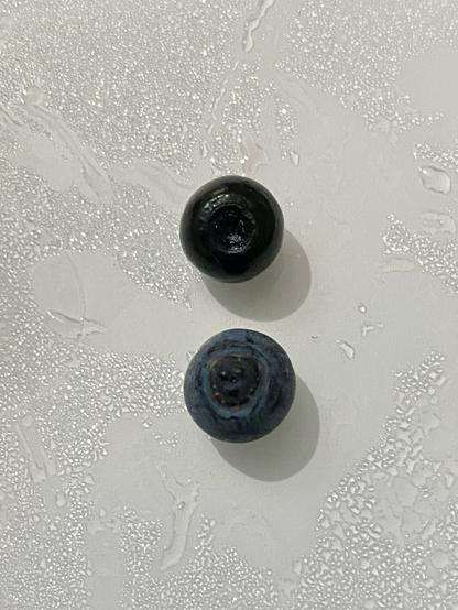 Vaccinium Myrtillus and Vaccinium Uliginosum