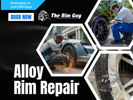 Blue Rim Spinner