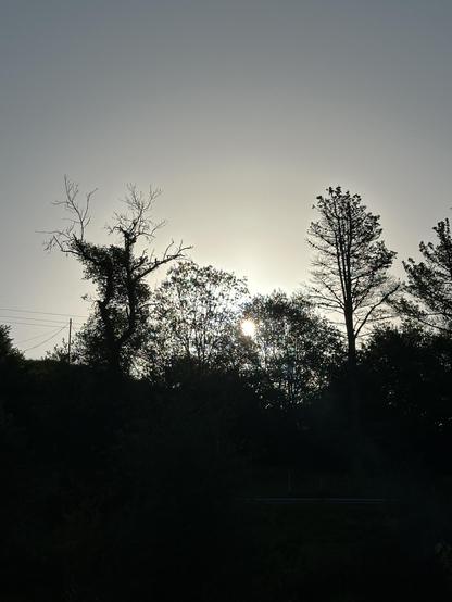 Exposición, amanecer contra colina oscurecida perfilada por árboles, el sol como si fuera luna.