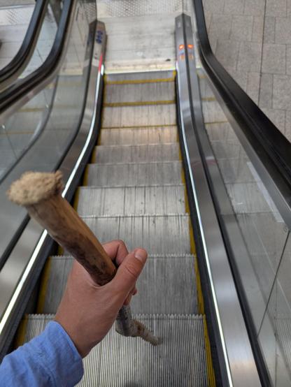 Un bâton de pélerin sur un escalator