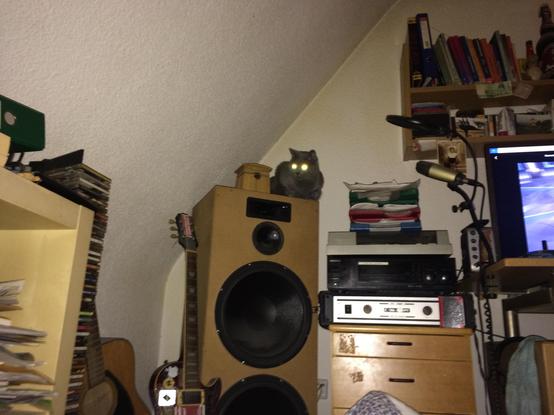 Ein Kater (Britisch Kurzhaar) sitzt auf einem überdimensionierten Lautsprecher. Außerdem sind 2 Gitarren und eine PA-Soundanlage zu erkennen. Die Augen des Katers leuchten grün durch den Blitz der Kamera.

Man sieht, es ist eine Dachgeschosswohnung und Junggesellenbude.