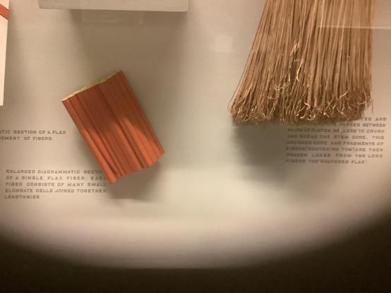 #Flax, also known as common flax or linseed, is a flowering plant, Linum usitatissimum, in the family Linaceae. It is cultivated as a food and fiber crop in regions of the world with temperate climates. In 2022, France produced 75% of the world's supply of flax.