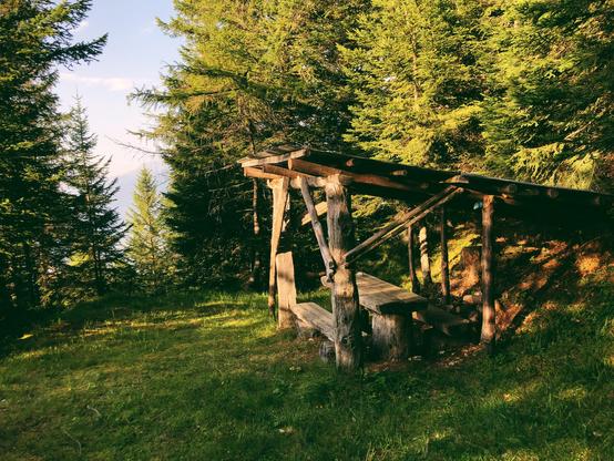 A shelter of trunks and a roof in the woods