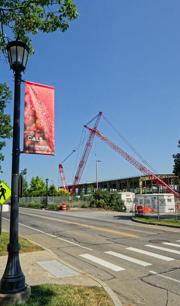 In the close left there is a streetlight that reminds of the one from Narnia that has a banner that shows apples and says Cornell CALS Life. Changing.  Behind that is a big red and white crane that has the boom in contact with the ground in in the middle of a construction site that has a steel framed building without a facade.