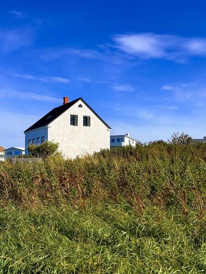 A stone house on a field of tall grass under a bright blue sky