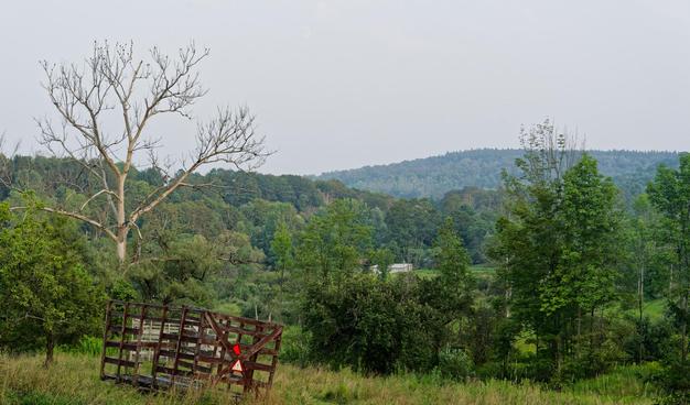 A valley with a far hill on the right which is is very hazy and a closer hill on the left which is is less hazy and even clearer, closer and lower hill on the right.  There's a close hedgerow on the left and a huge dead polar tree on the right that's going to drop in my driveway someday,  and below that tree a red very run down hay wagon in a grassy field that has since been cut.