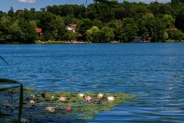 immer aktuell - tragen Sie sich in unseren Newsletter ein.